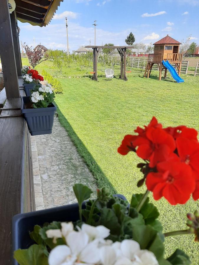 Dor de Casa Hotel Doljesti Buitenkant foto