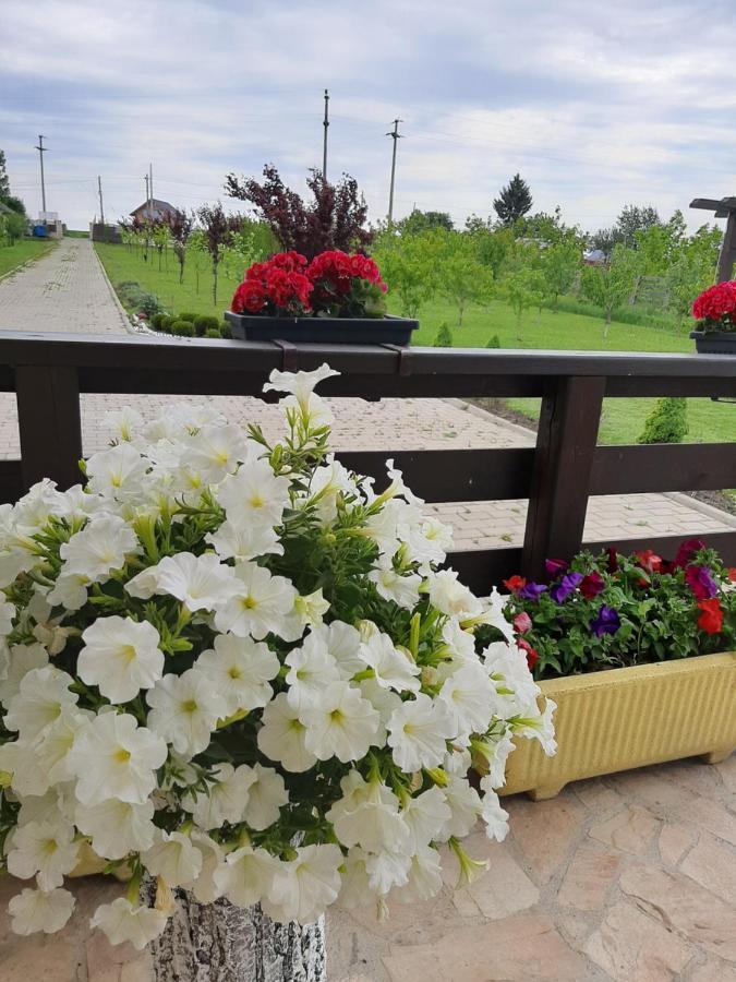 Dor de Casa Hotel Doljesti Buitenkant foto