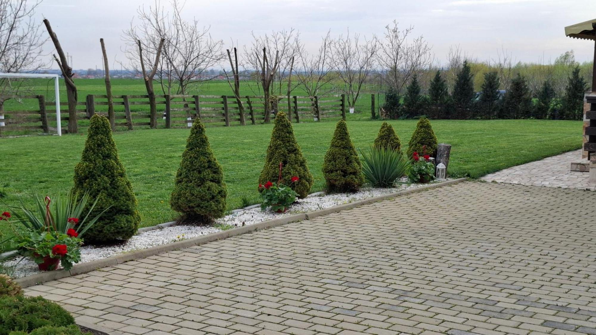 Dor de Casa Hotel Doljesti Buitenkant foto