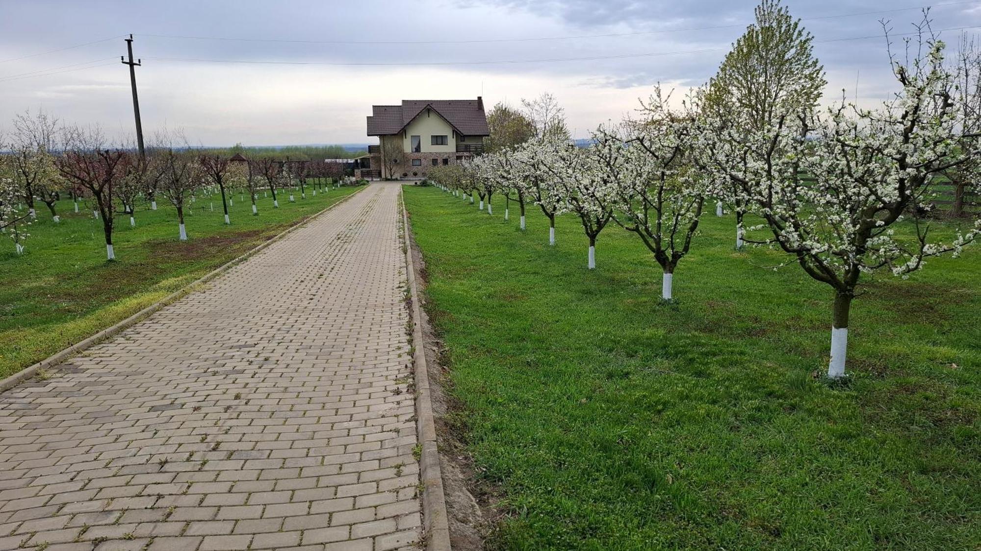 Dor de Casa Hotel Doljesti Buitenkant foto