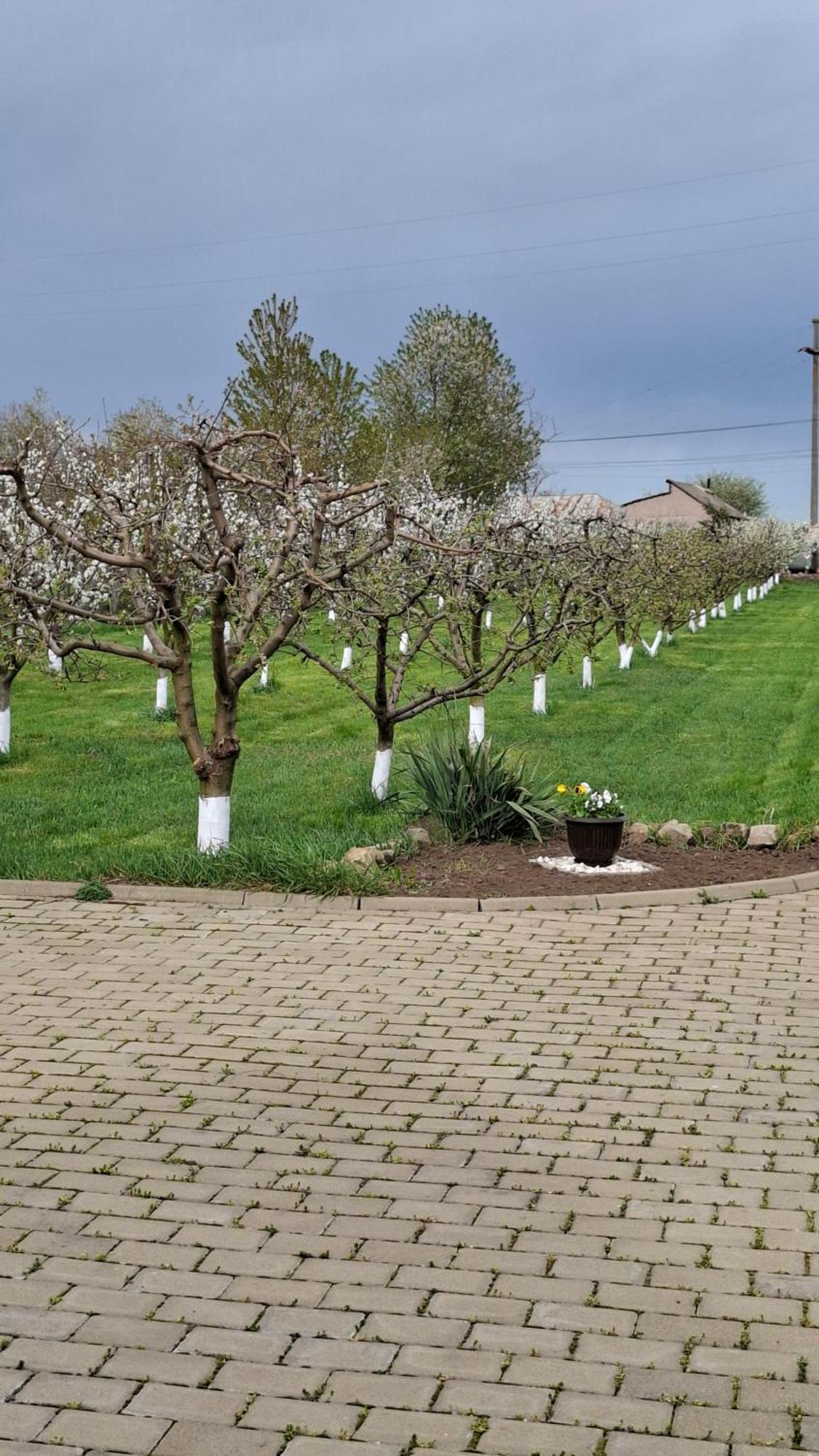 Dor de Casa Hotel Doljesti Buitenkant foto