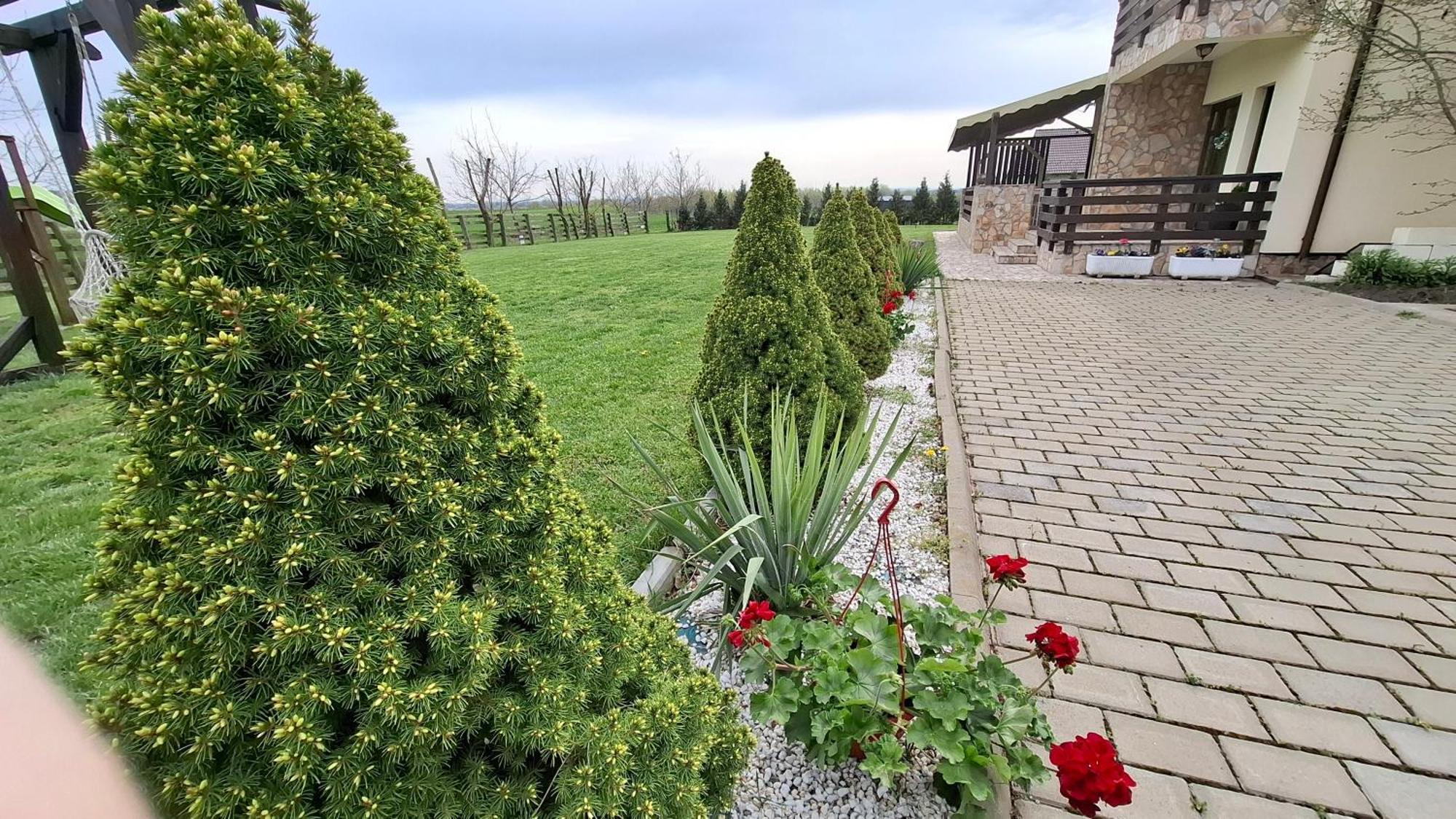 Dor de Casa Hotel Doljesti Buitenkant foto
