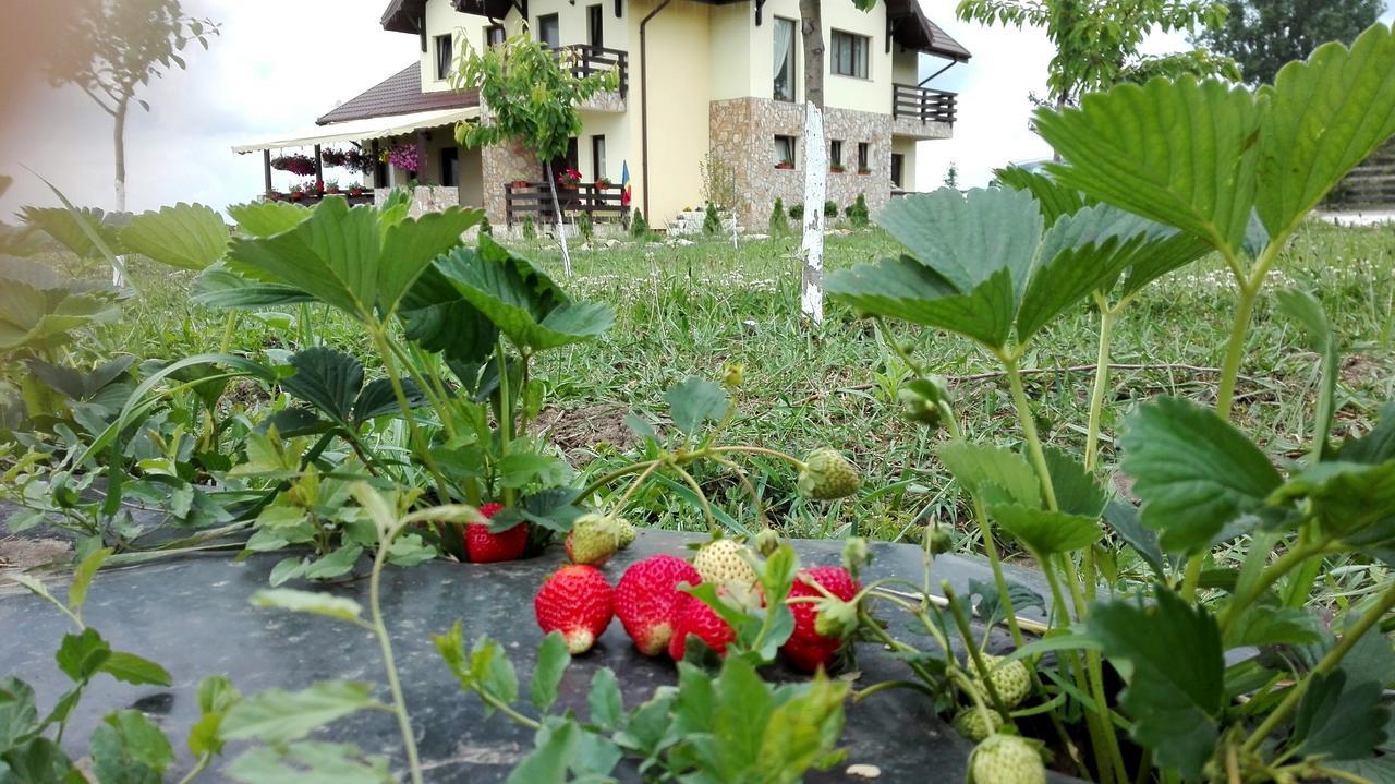 Dor de Casa Hotel Doljesti Buitenkant foto